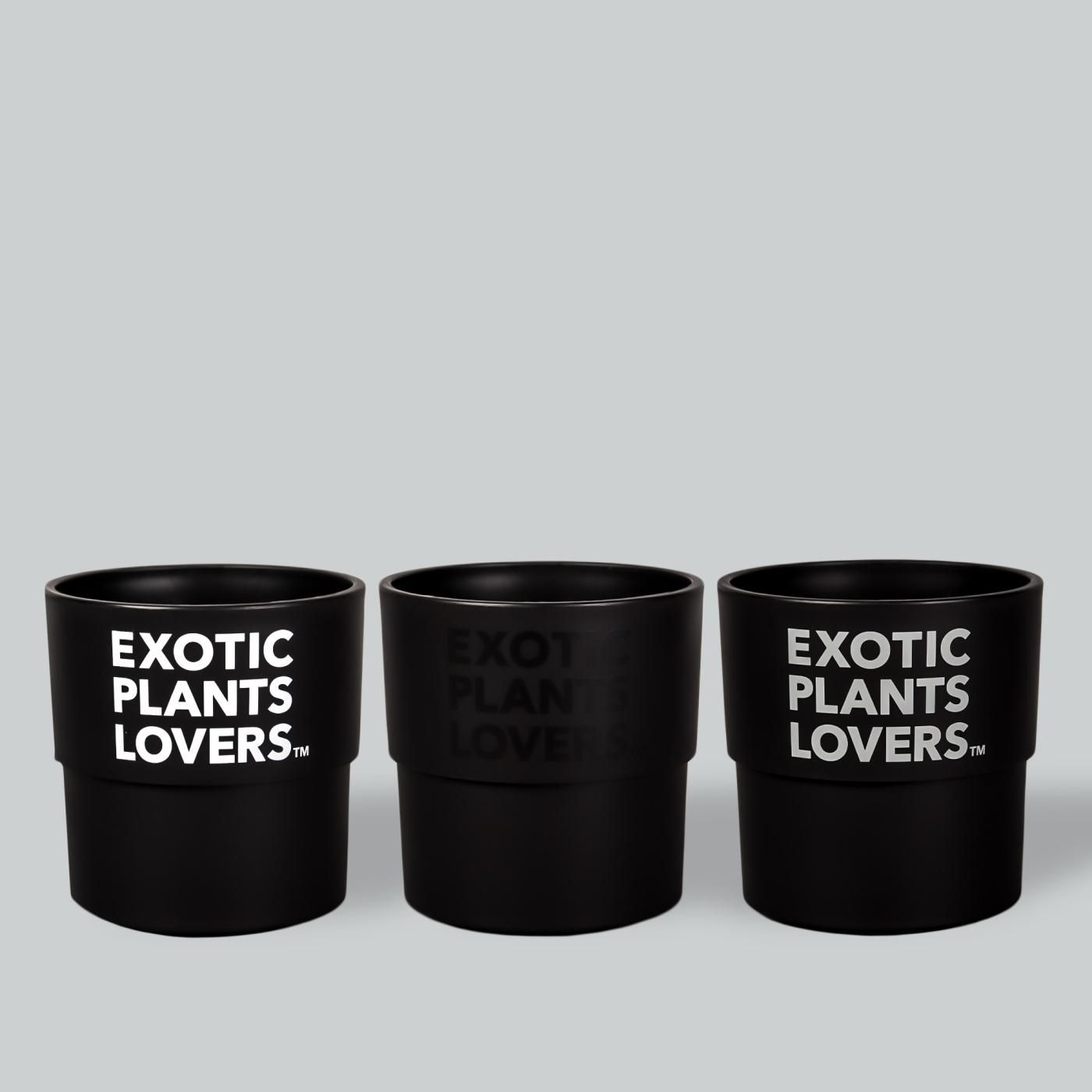 BOTANIZE PLA POT EXOTIC PLANTS LOVERS 3pcs(1set) φ9.5cm