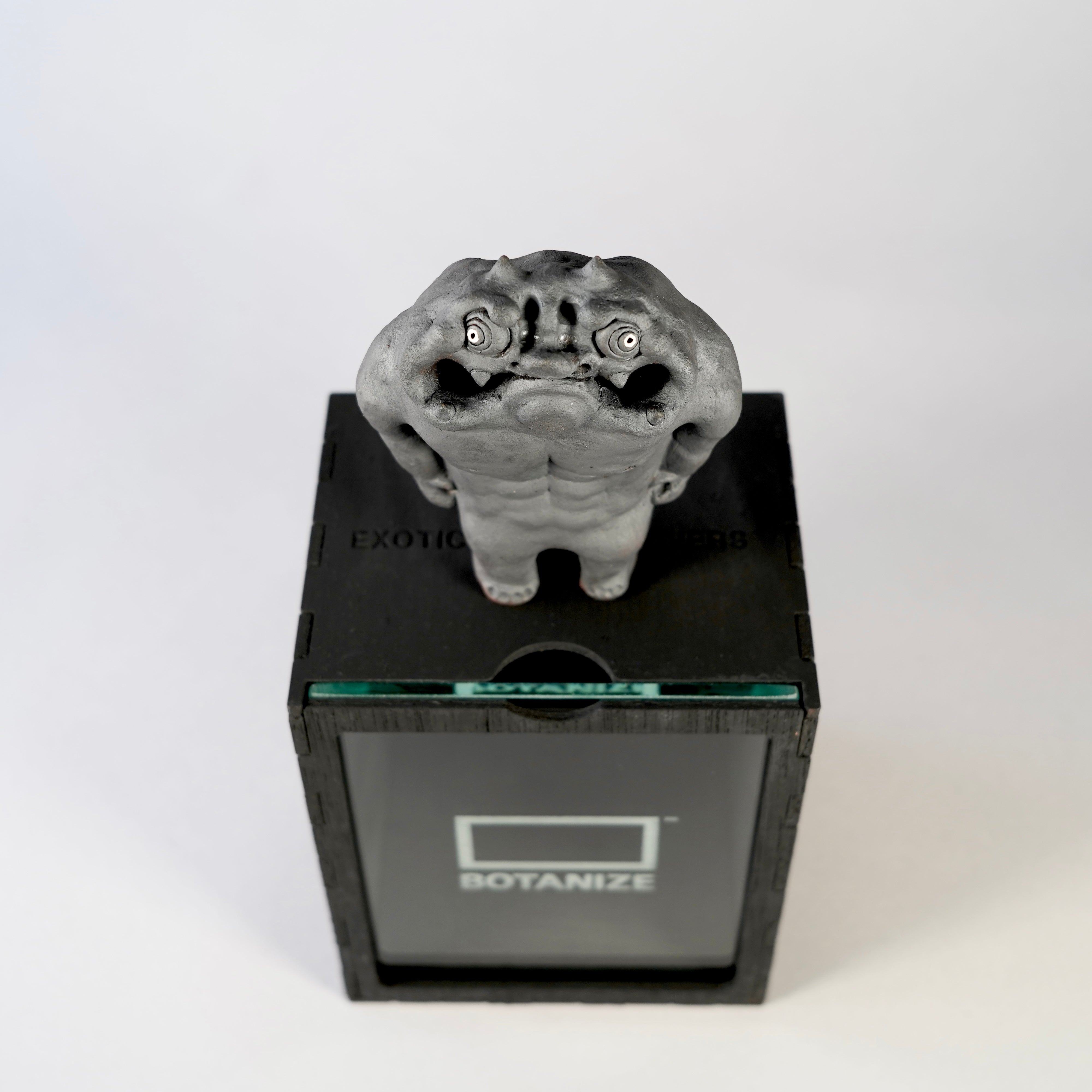 TENDOBOTANICAL 「鬼ん形」 – BOTANIZE