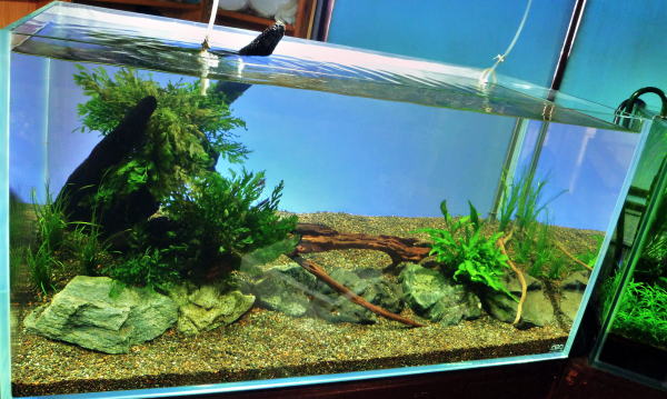 ADA キューブガーデン 90cm