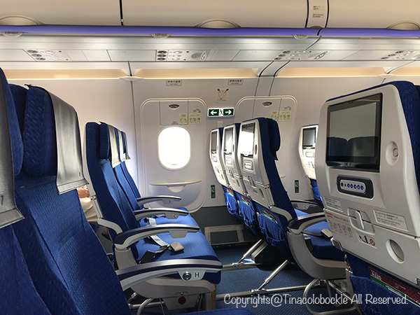 エアバスA320 AIRBUS 機内 客室 内装 壁 非常口 ウィンドウガラス