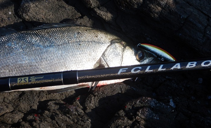 FCLLABO UC11 2S ファーストインプレッション② - 三十にして立ち、四