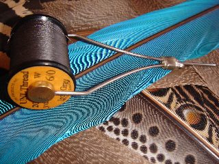 フランク マタレリ - いわなたろうのFool's BAR