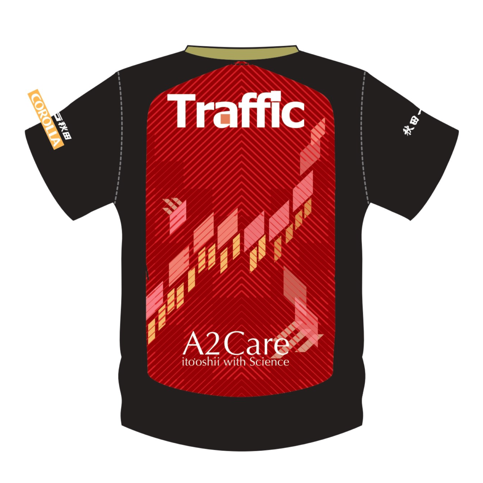 15周年記念】コンフィットシャツ GK – BLAUBLITZ AKITA ONLINE STORE