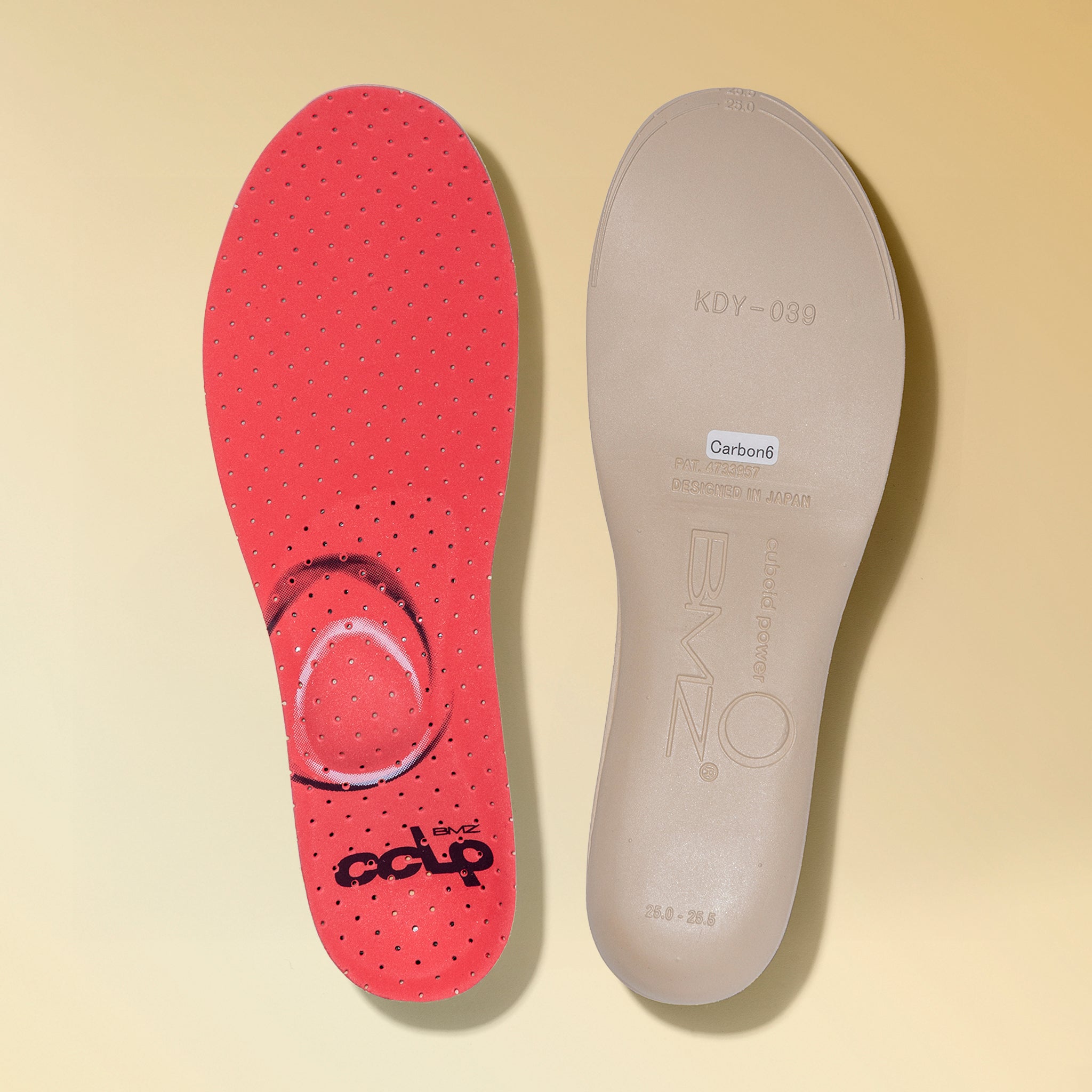 カルパワースキー カーボン6