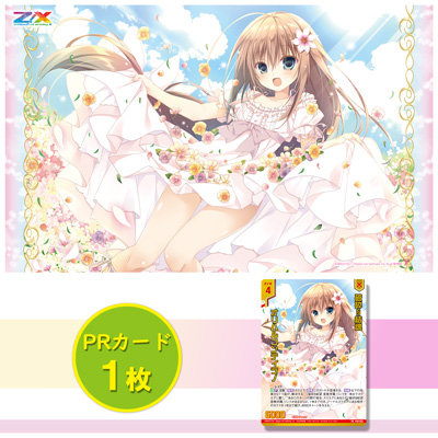 綺羅@プロフ必読です。限定値下げ中！ページ 綺羅@プロフ必読です