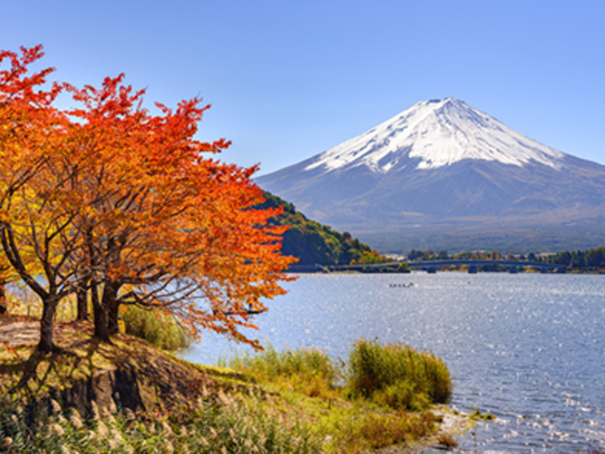 富士山と紅葉のコラボ！「富士河口湖紅葉まつり2025」の開催情報を紹介