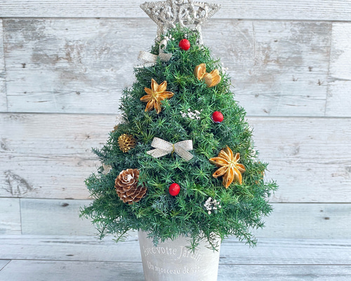 75f8d277e18f37f80616257fd01f96