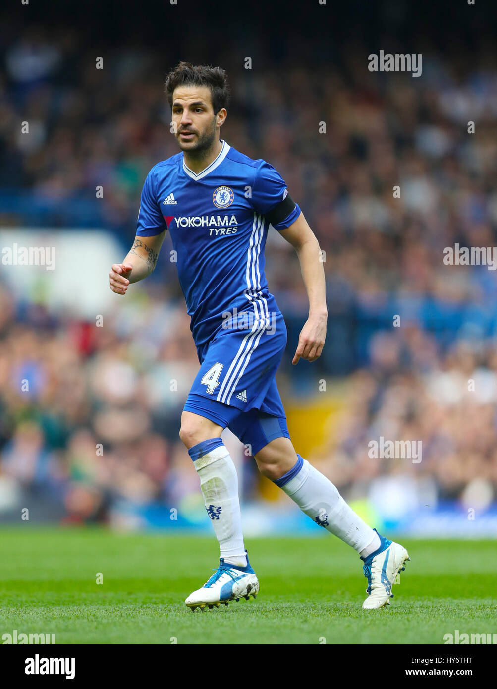 Francesc fabregas hi-res stock photography and images - Alamy