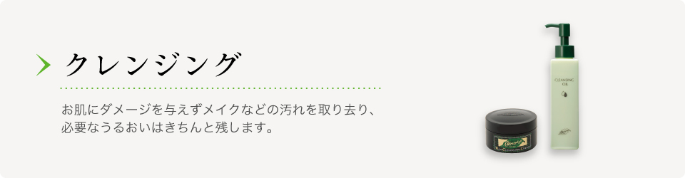 クロロフイル│製品情報