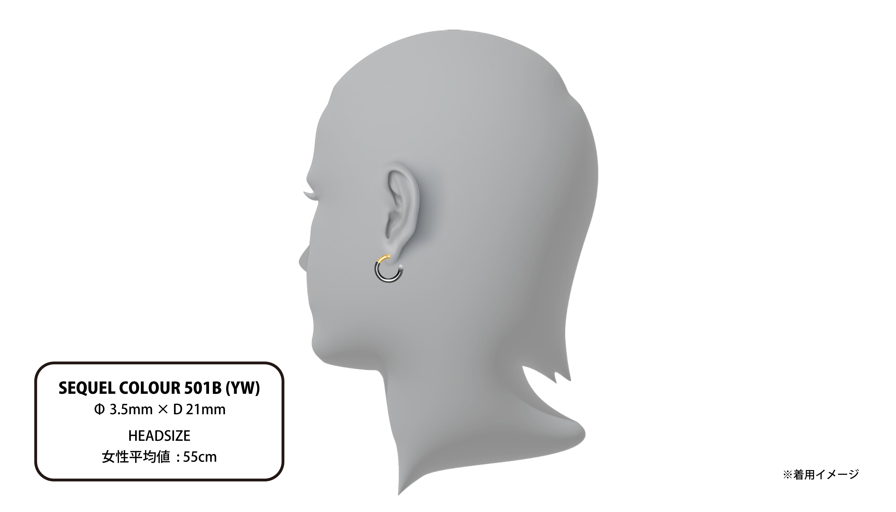 アクセサリー careering SEQUEL 501 black SEQUEL COLOUR 501B (YW