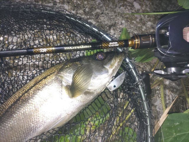 リール 24IM Z TW 200XHL-C ダイワ IM Z TW 200XH-C (リール) 価格比較