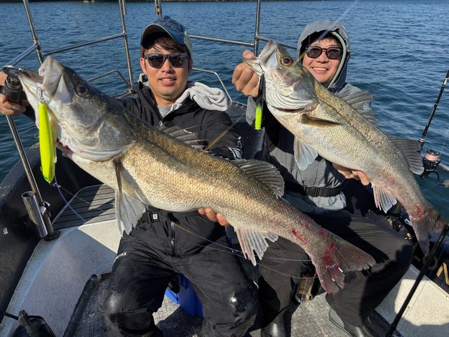 ダイワ ベイトリール タトゥーラ TW 300XHL 2021年モデル (左巻)【即日