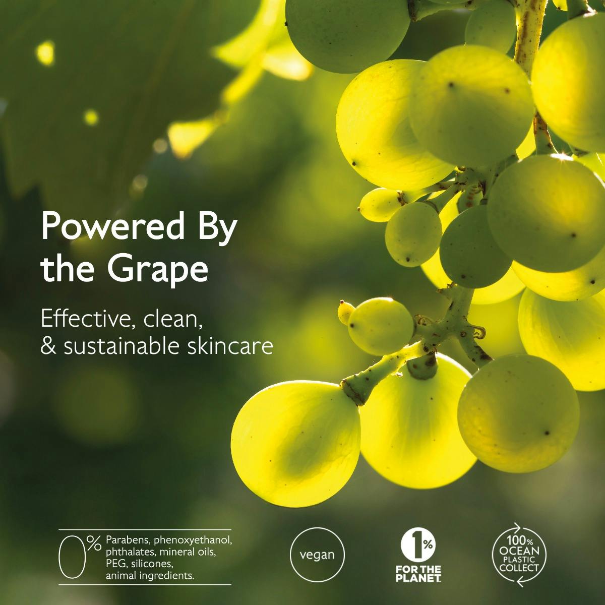 Premier Cru The Rich Cream | CAUDALIE®