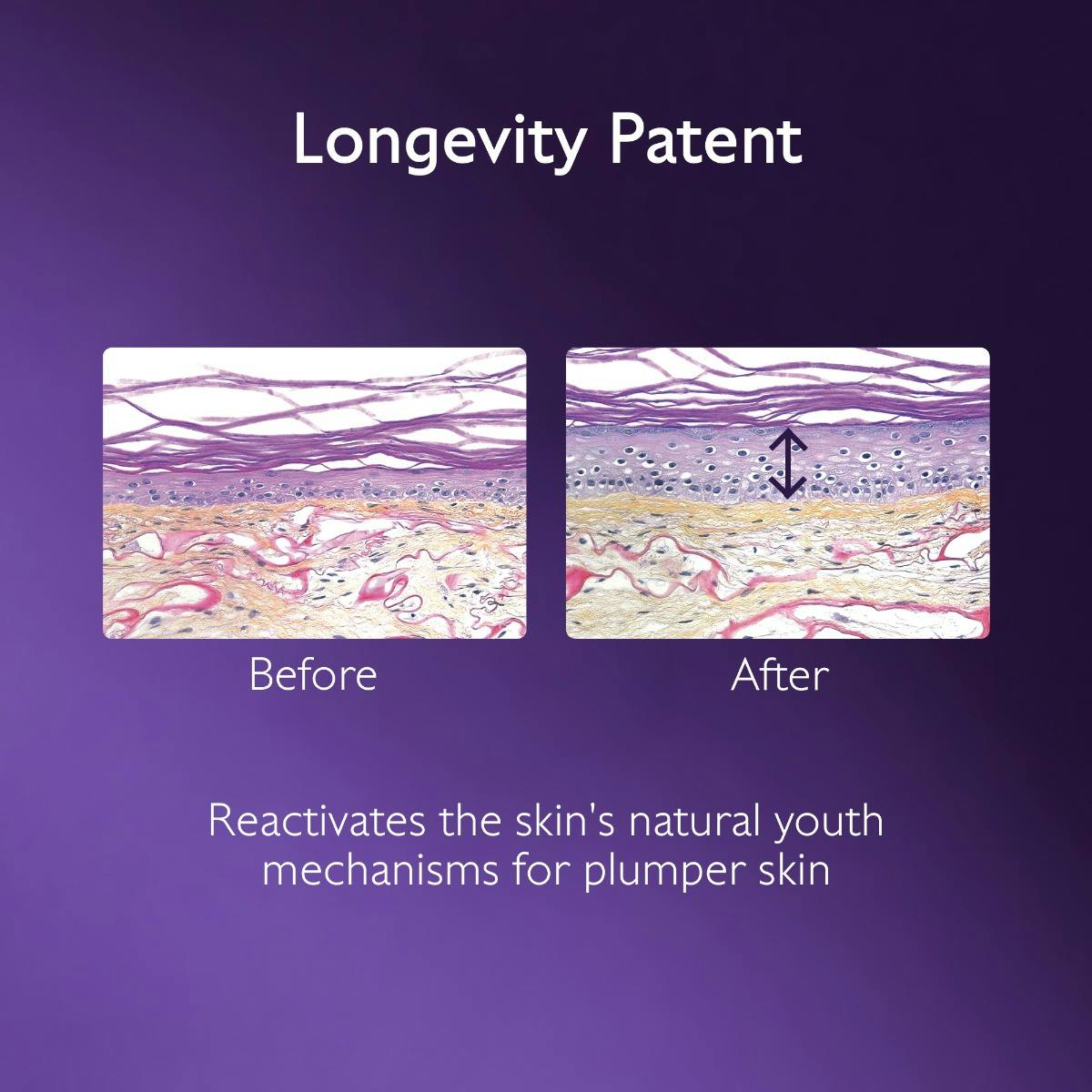 Premier Cru The Rich Cream | CAUDALIE®