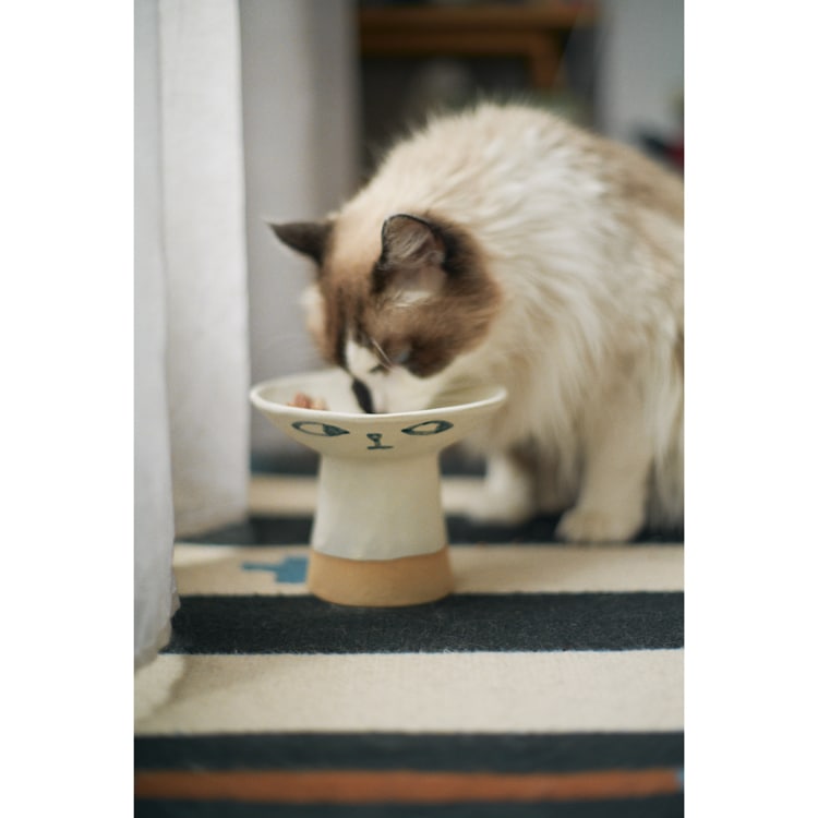 MADOKA RINDAL CERAMICS〉と初コラボレーション！ 数量限定で“CAT BOWL