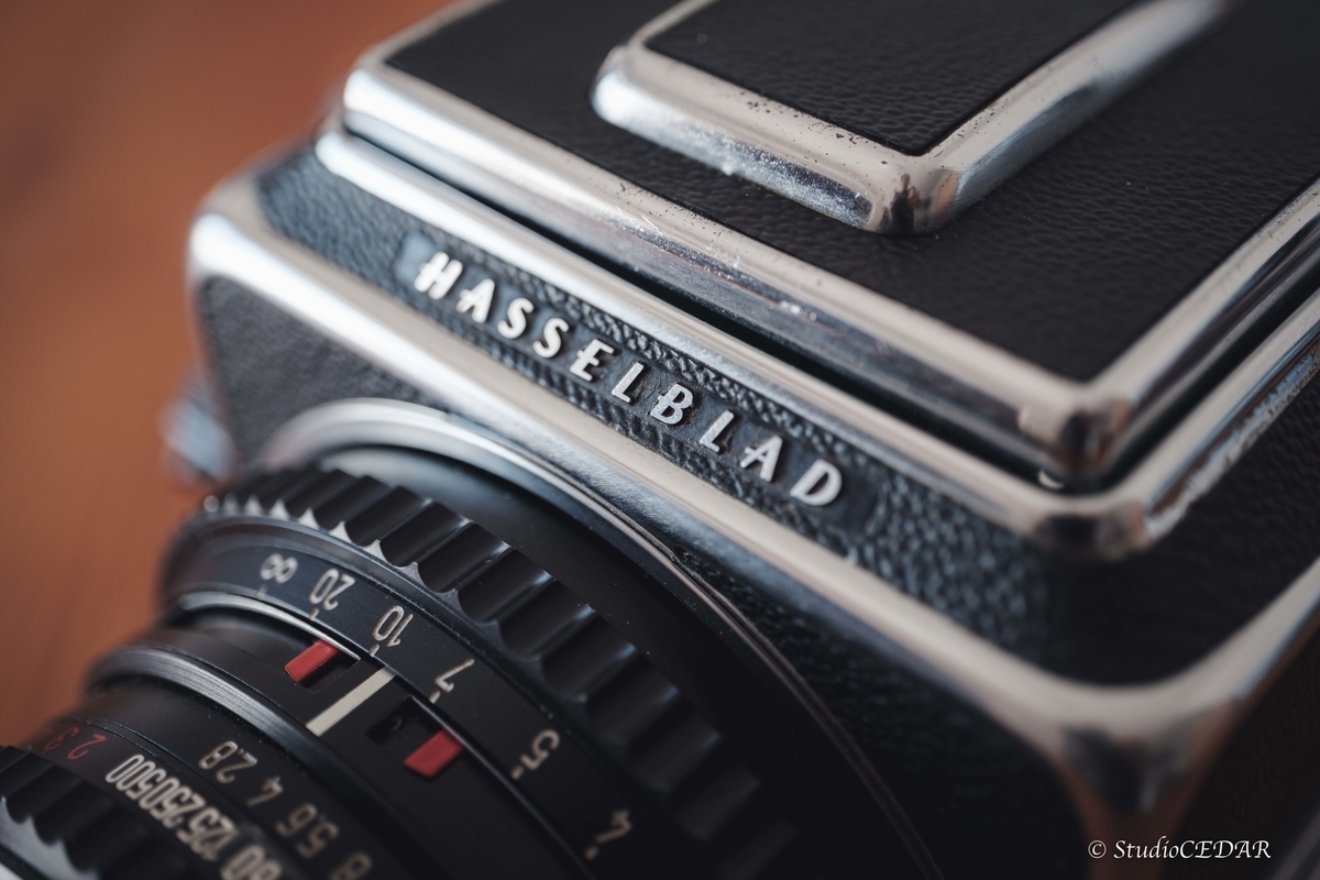 ウエストレベルファインダー動画の撮り方【#カメクラの沼カレ2022