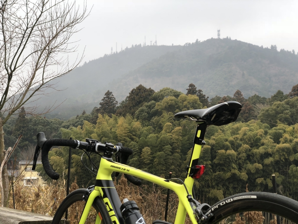 ウィンドブレーククイックビブタイツ（パールイズミ）インプレ