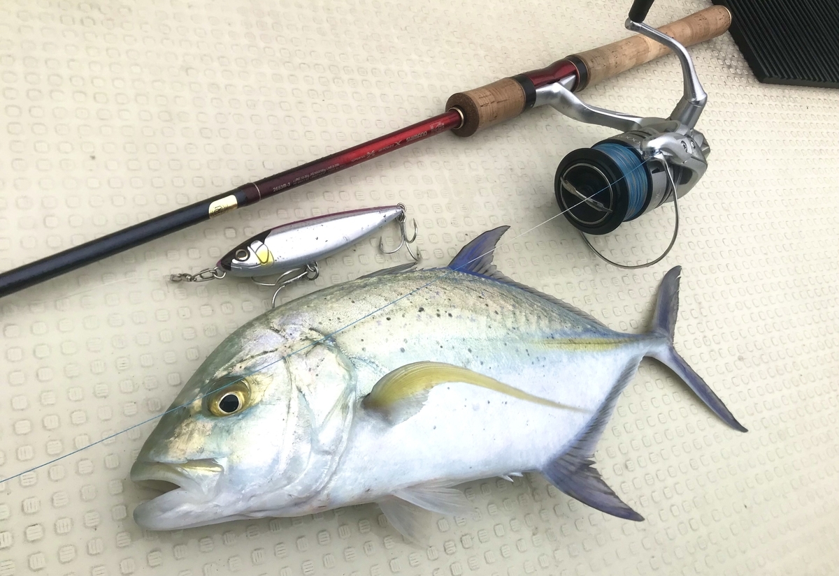 ワールドシャウラ2653R-3の1年使用レビュー - Train-Fishing