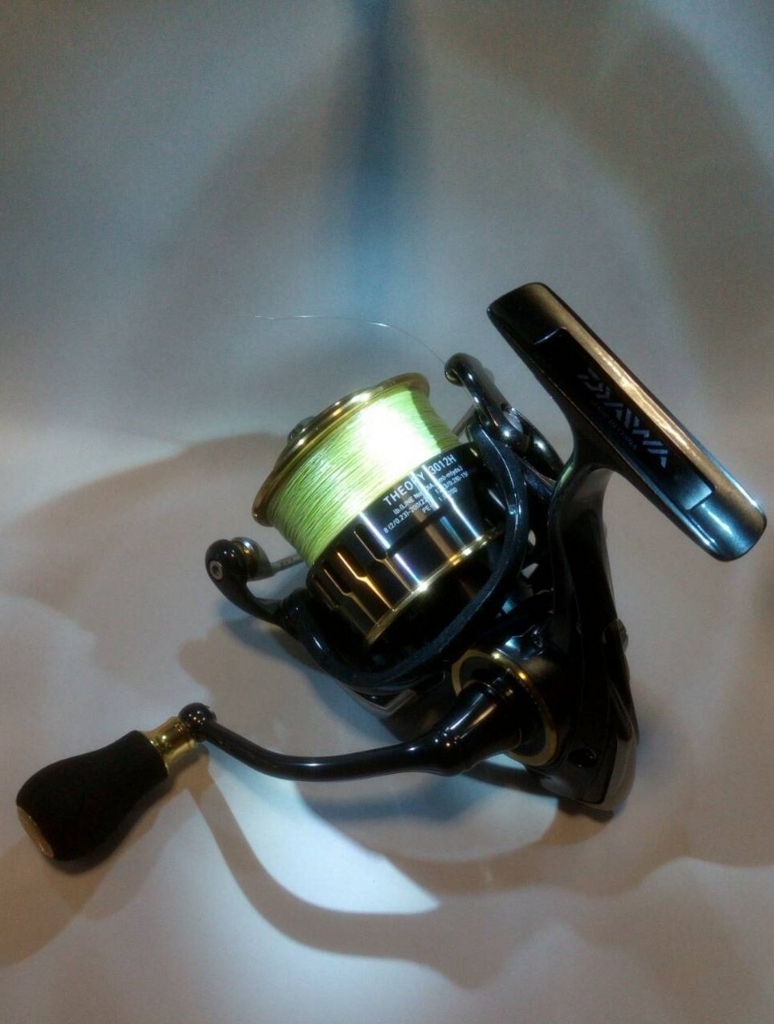 遅い】DAIWA THEORY（セオリー）3012h【インプレ】 - サーフ