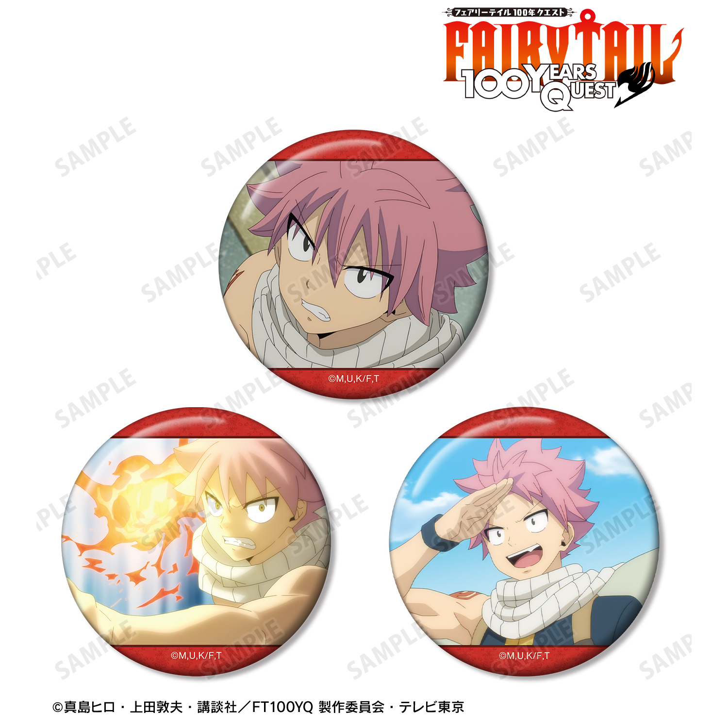 FAIRYTAIL コースター 8種 レア 特典 非売品 フェアリーテイル