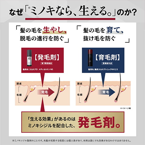 アンファースカルプD公式通販 | 予防医学のアンファーストア