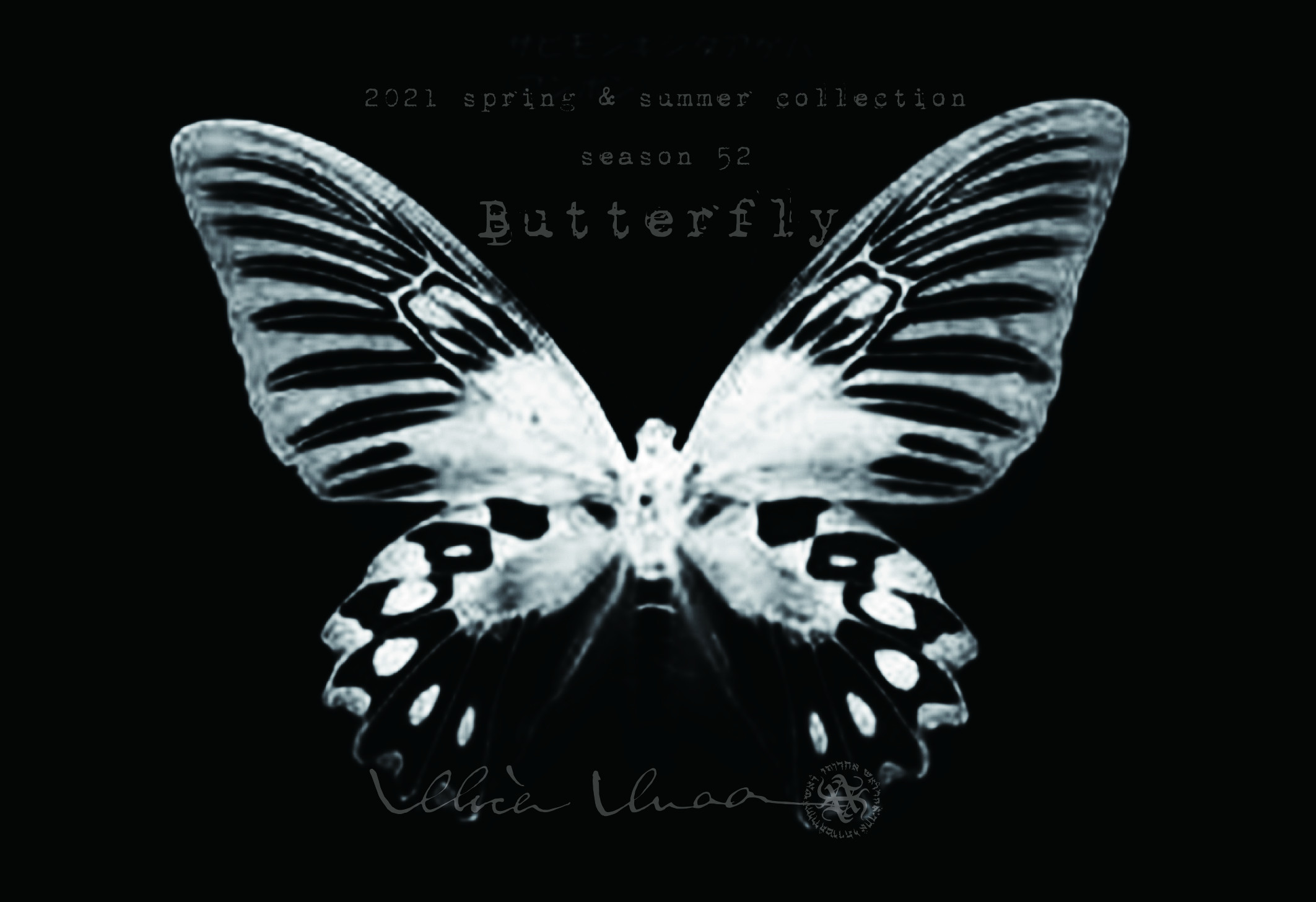 alice auaa ブローチ Alice Auaa Ruffled Long Sleeve Shirt with Ribbon Detail From Japan