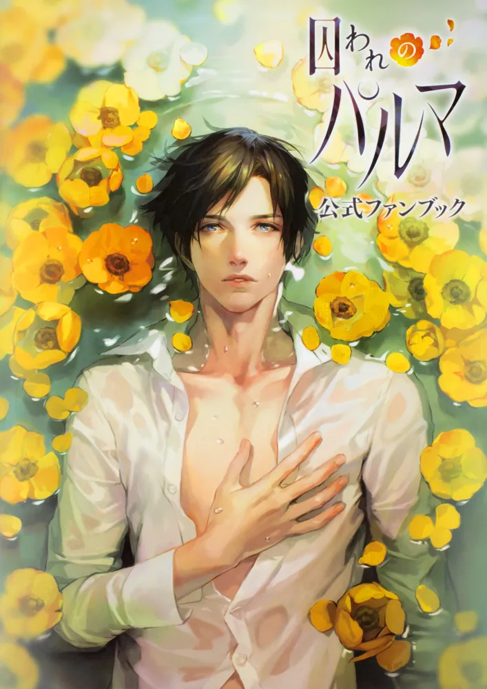 囚われのパルマ 公式ファンブック」 [画集・ファンブック] - KADOKAWA