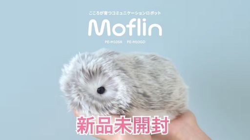 新品未開封】モフリンmoflin AIロボット【都内手渡可】 (もり) 東村山