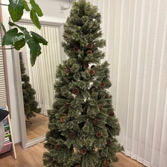 2024年度Alsace アルザス クリスマスツリー 180 cm (やま) センター南