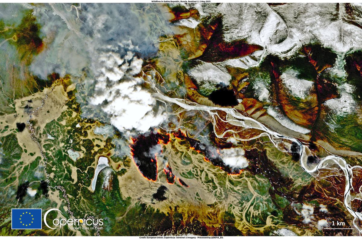 Zombie wildfires' that smoldered beneath the snow in Siberia are