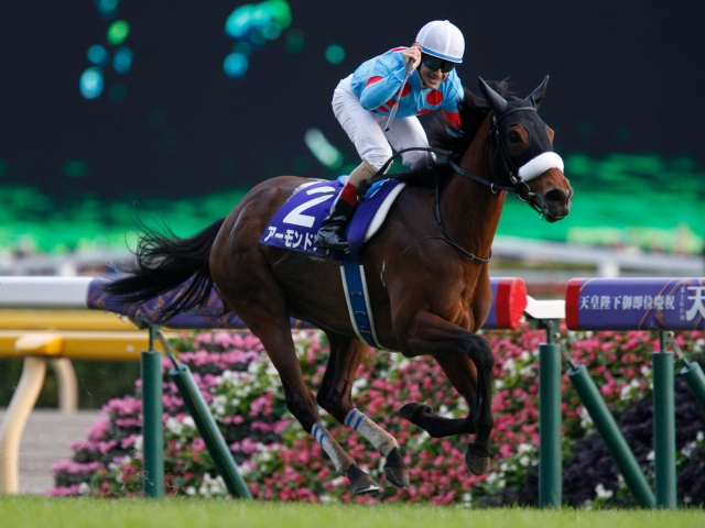 天皇賞・秋2019結果】アーモンドアイが現役最強を証明！ | 競馬まとめ
