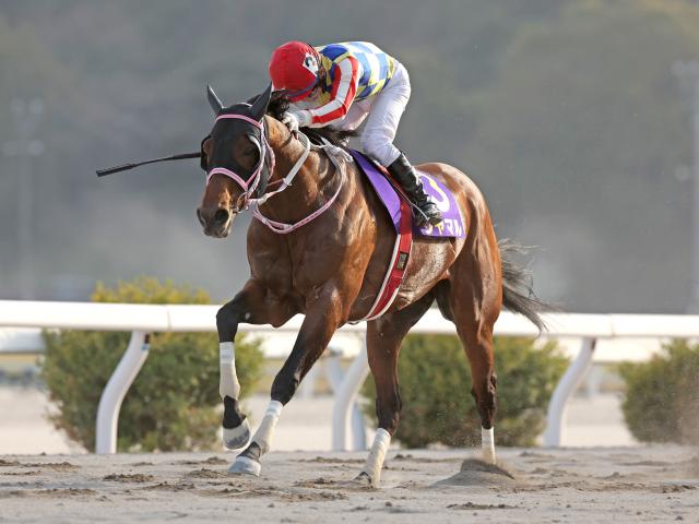 高知・黒船賞結果】シャマルが鮮やかに逃げ切りV！3連覇達成 | 競馬