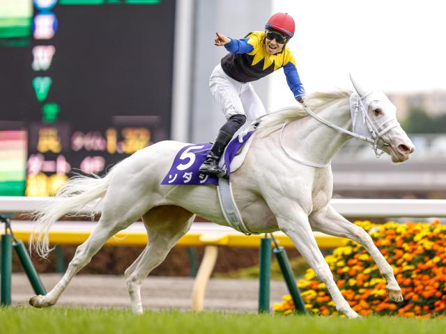 コイウタの2015」が4100万円で落札 父はロードカナロア/千葉