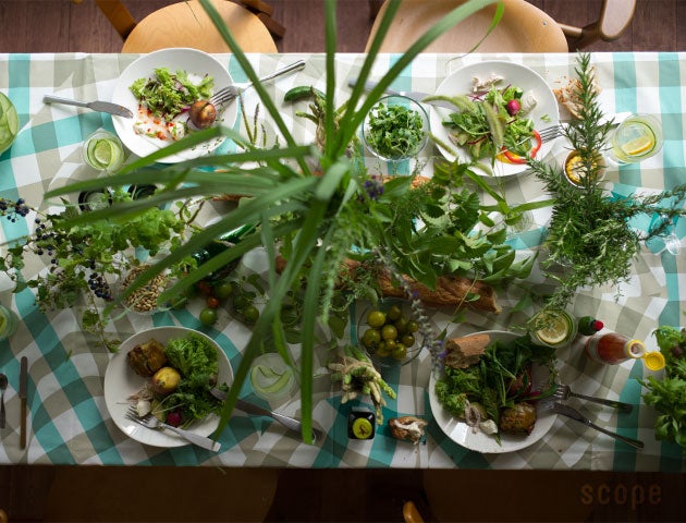 販売終了】Fabric of the day CHECK グリーン | SCOPE (スコープ)