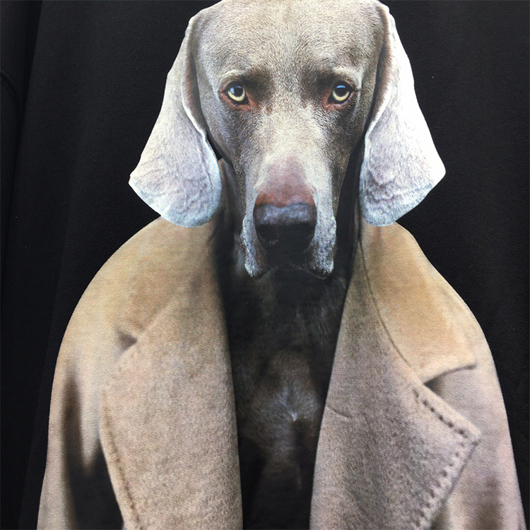 マックスマーラ 犬 置物 マックスマーラ 犬 置物 マックスマーラ 犬