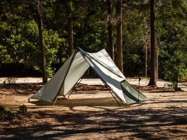 P1016936_600x600.jpg?v=1744257816