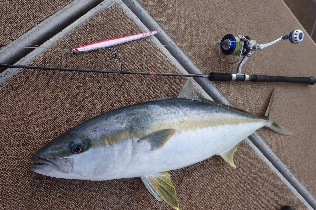 truthjapan トリックスター643 truthjapan トリックスター643