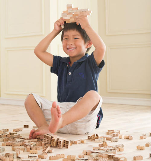 もくロック 1000ピース（国産スギのボックス入）