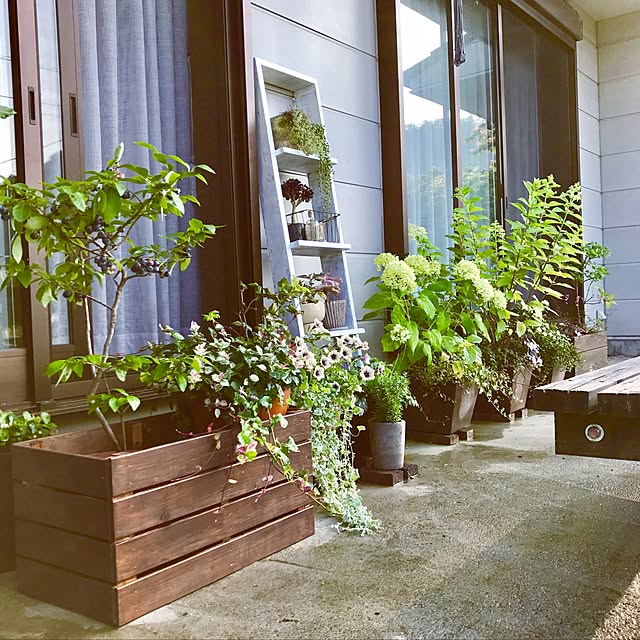 No.伊太利亜館 ガーデニング花植木鉢 アイアン製鉢植 大 アンティーク