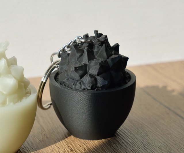 香港 亀甲竜キーホルダー キーチェーン/チャーム/多肉植物 塊根植物