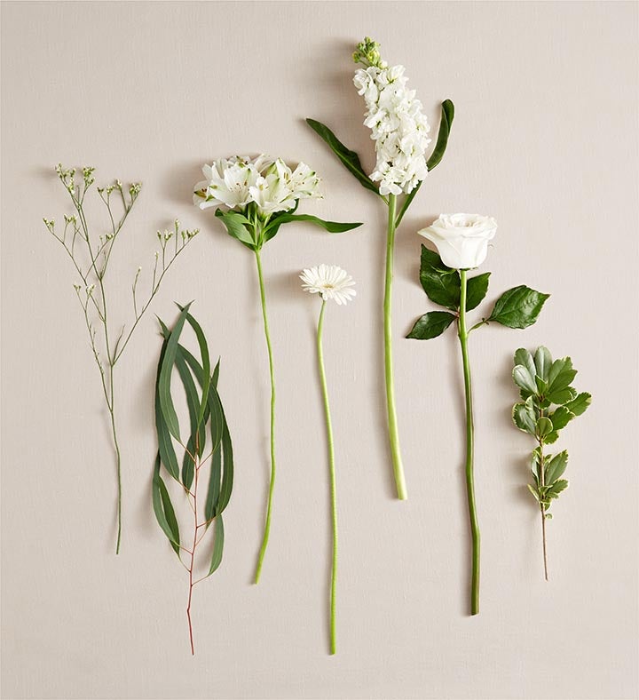 Treasured Memories™ All White | 1800Flowers.com