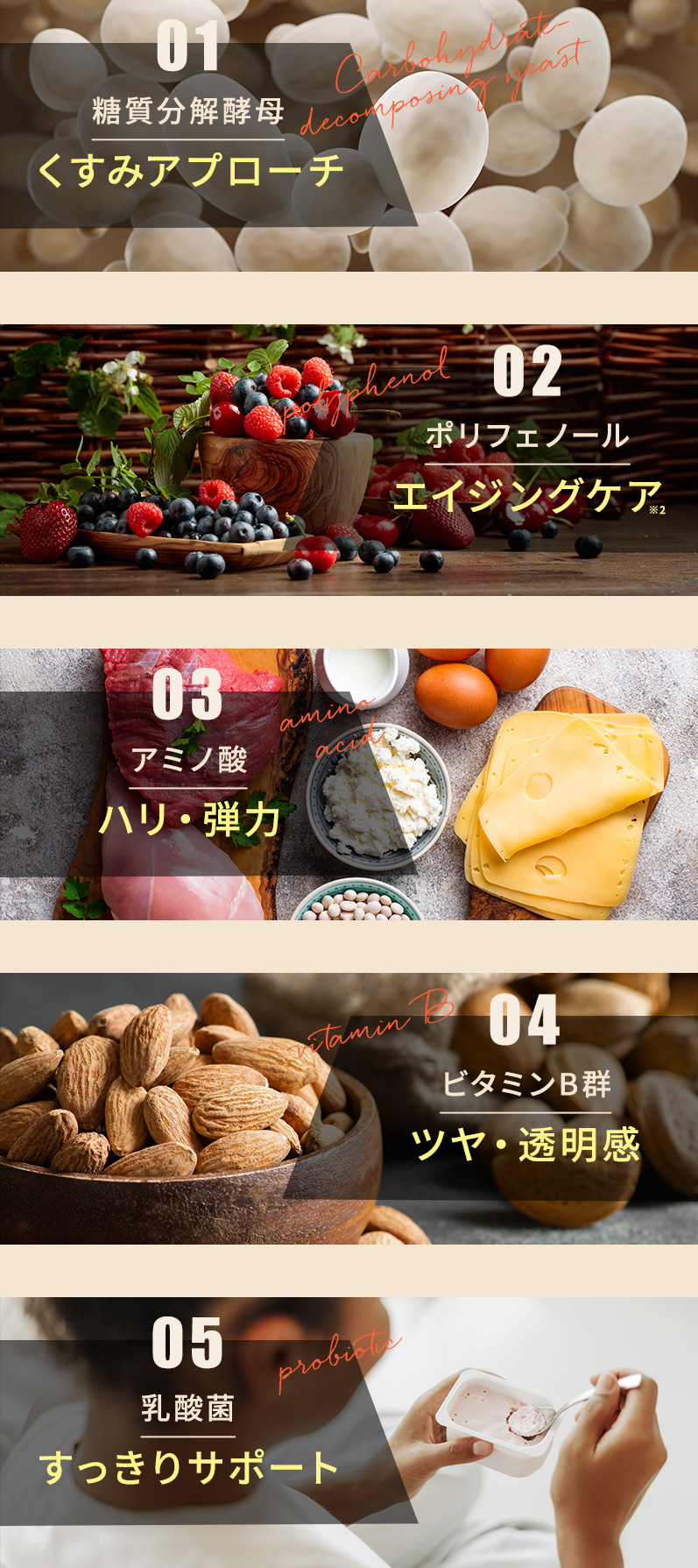 公式】KOMBUCHA CLEANSE®｜全米で大ブームのドリンク！｜セパルフェ