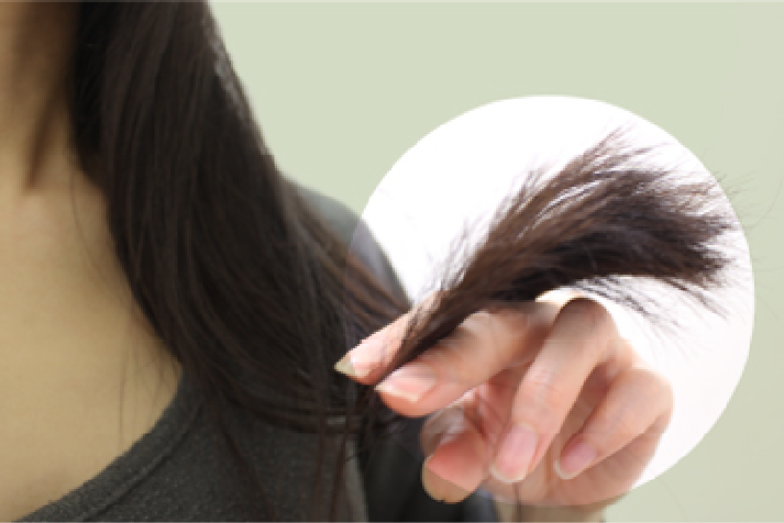 CENTONZE R 公式サイト