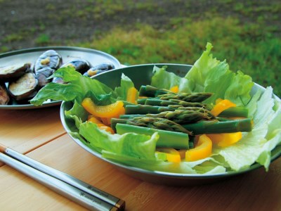 スノーピーク お皿ファミリーセット4人分 スノーピーク お皿ファミリー