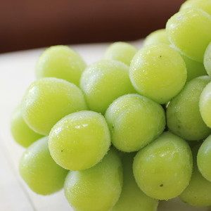 大人気!】長野県産・シャインマスカット(約2kg) 秀品＜2026年9月下旬