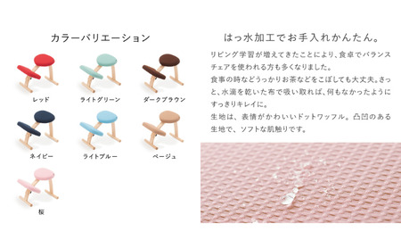 椅子 バランスイージー カバー付き 選べる フレーム カラー 姿勢矯正