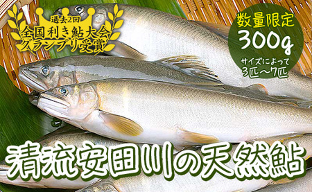 清流安田川の天然鮎（冷凍） 魚介 お取り寄せグルメ | 高知県馬路村