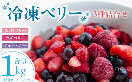 冷凍ベリー3種詰合せ（ストロベリー500g・ラズベリー250g