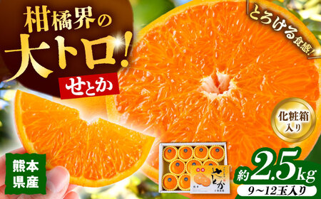 26年2月下発送 せとかみかん約2.5kg化粧箱入り せとか果物ギフトZBN002