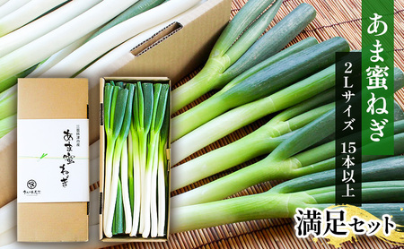 あま蜜ねぎ 満足セット【野菜 ねぎ ネギ 長ネギ】 | 三重県津市